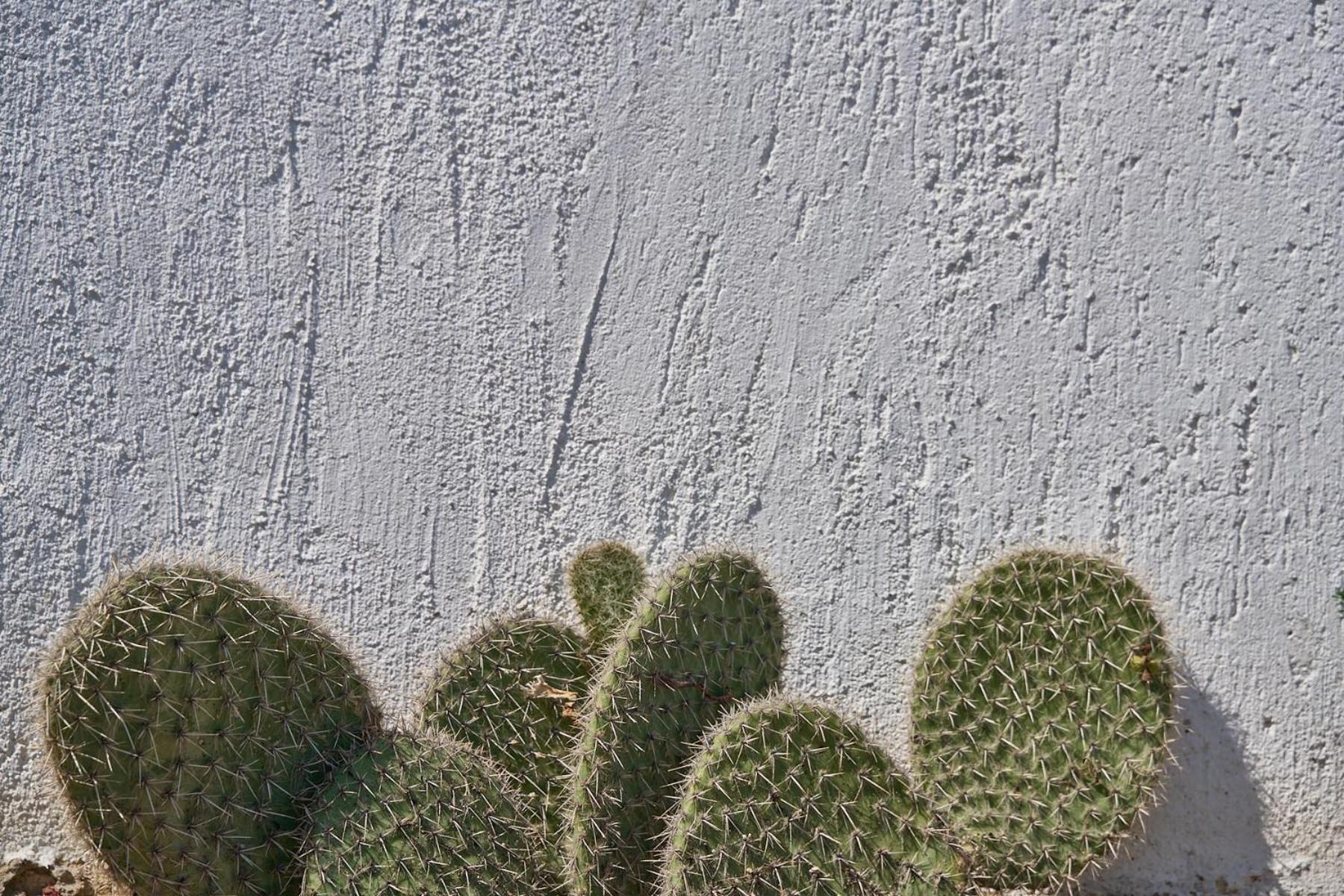 Topos Exclusive Santorini 이메로비글리 외부 사진